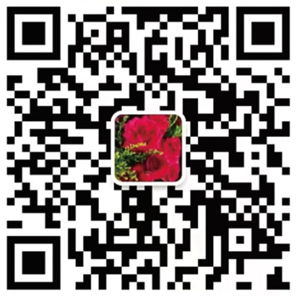 黄老师微信号